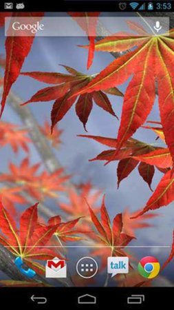 Autumn Tree Live Wallpaper