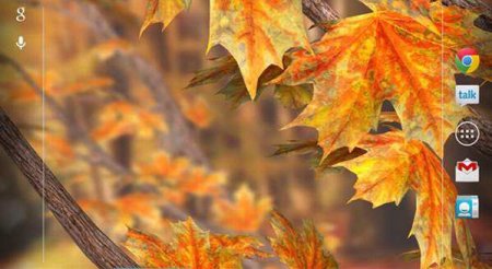 Autumn Tree Live Wallpaper