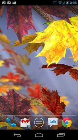 Autumn Tree Live Wallpaper