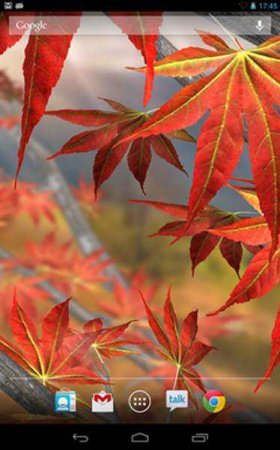 Autumn Tree Live Wallpaper