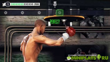 Real Boxing