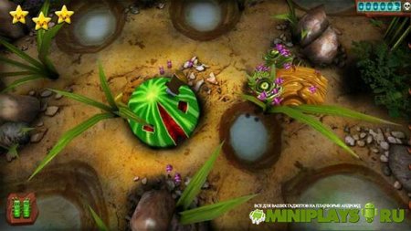 Ant Raid