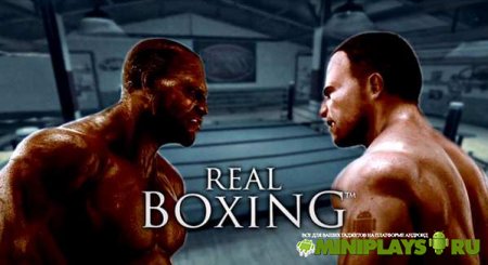 Real Boxing