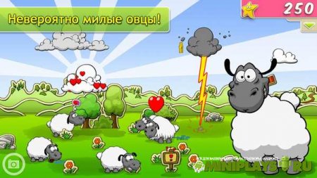 Clouds & Sheep