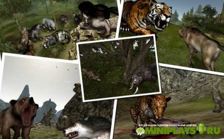 Life Of Wolf 2014