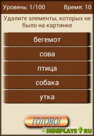 А был ли котик?