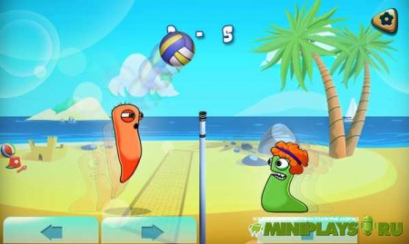Volleyball Hangout