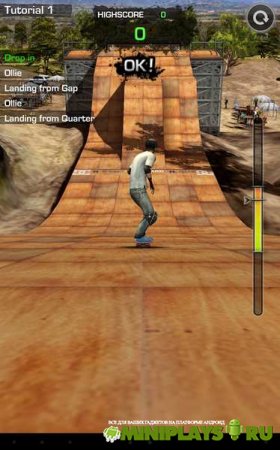 MegaRamp Skate