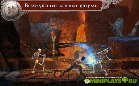 Prince of Persia. The Shadow and the Flame