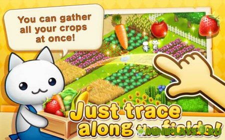 Meow Meow Star Acres