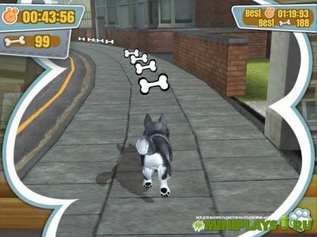 PS Vita Pets. Твой щенок