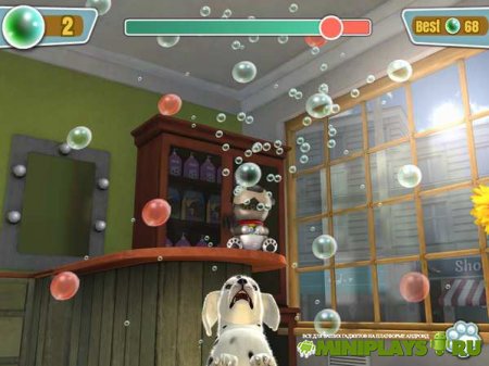 PS Vita Pets. Твой щенок