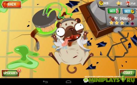 Amateur Surgeon 3