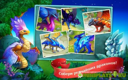 Земли Драконов