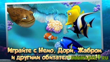 Немо. Подводный мир
