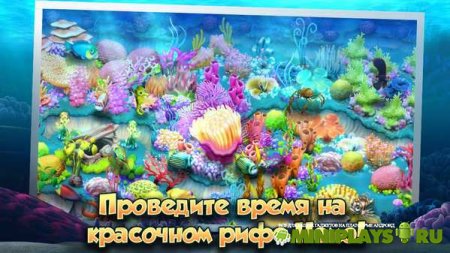 Немо. Подводный мир