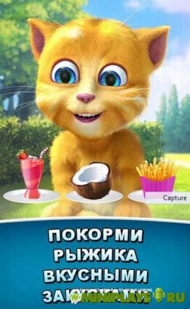 Говорящий рыжик 2