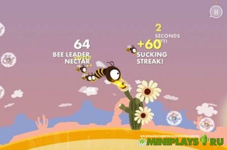 Bee Leader