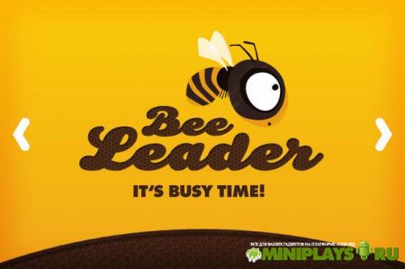 Bee Leader
