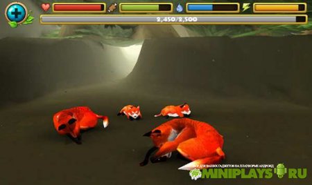 Fox Simulator