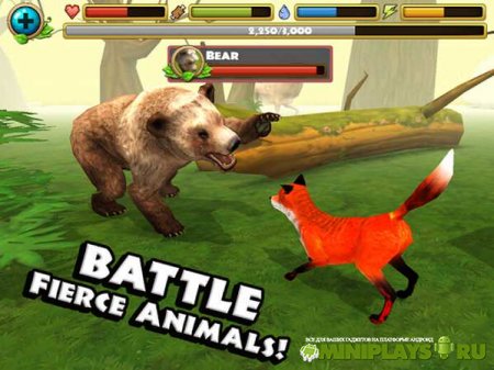 Fox Simulator