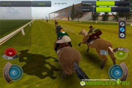 Race Horses Champions 2