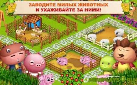 Ферма старого Макдональда