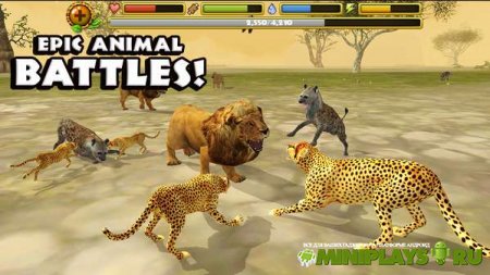 Cheetah Simulator