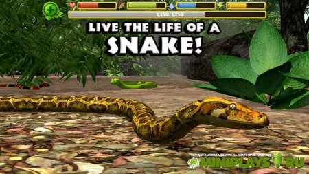 Snake Simulator