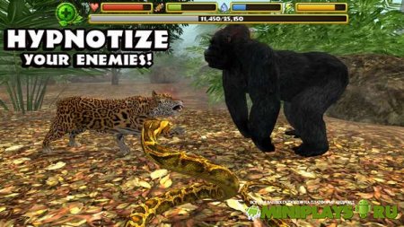 Snake Simulator