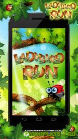Ladybird Run