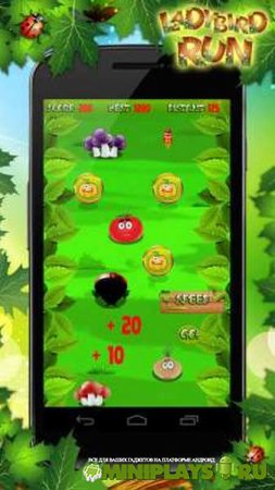 Ladybird Run