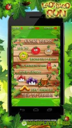 Ladybird Run