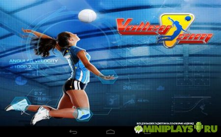 VolleySim