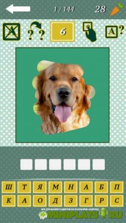 Animal Quiz 2015