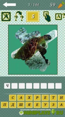 Animal Quiz 2015