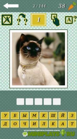 Animal Quiz 2015