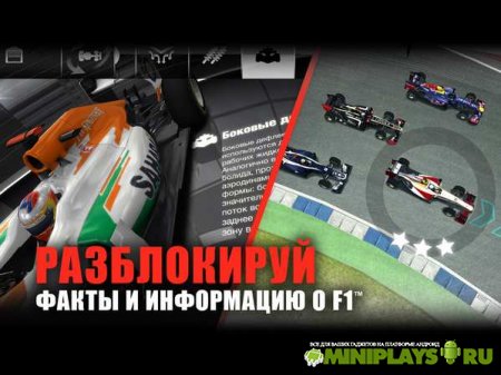 F1™ Challenge