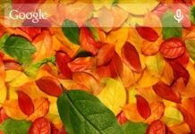 Осенние листья 3D