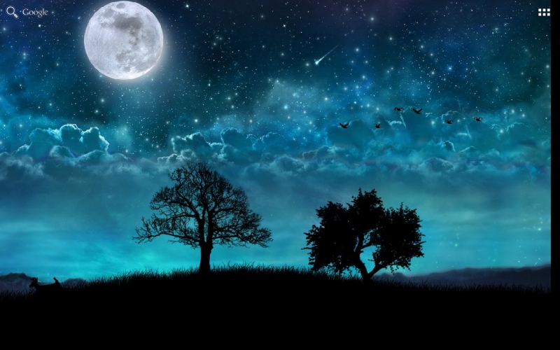 Dream Night Pro