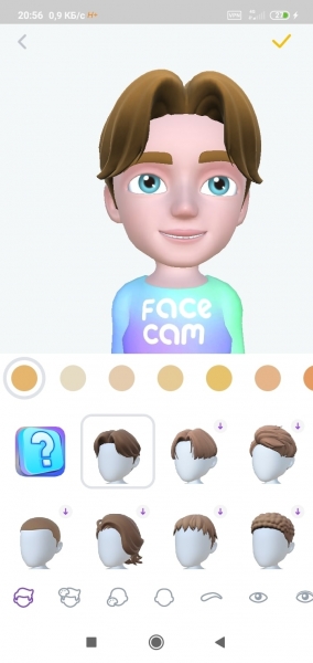 Face Cam