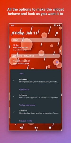 Home Agenda - Calendar Widget