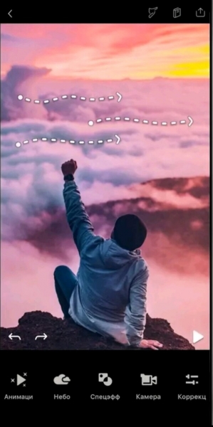 Enlight Pixaloop
