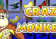 Crazy Monkey