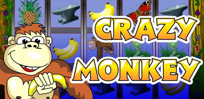 Crazy Monkey
