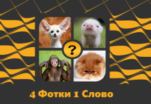 4 фото 1 слово