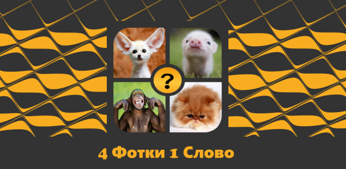 4 фото 1 слово
