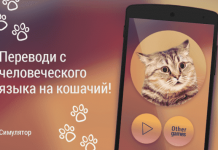 Переводчик кошачий