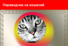 Переводчик на кошачий язык