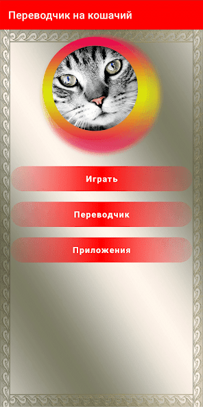 Переводчик на кошачий язык